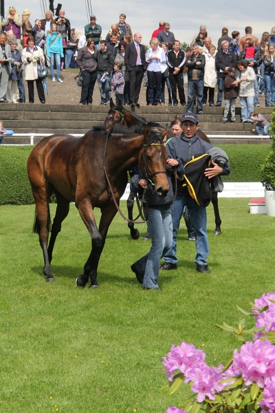 Bult VGH2011   026.jpg